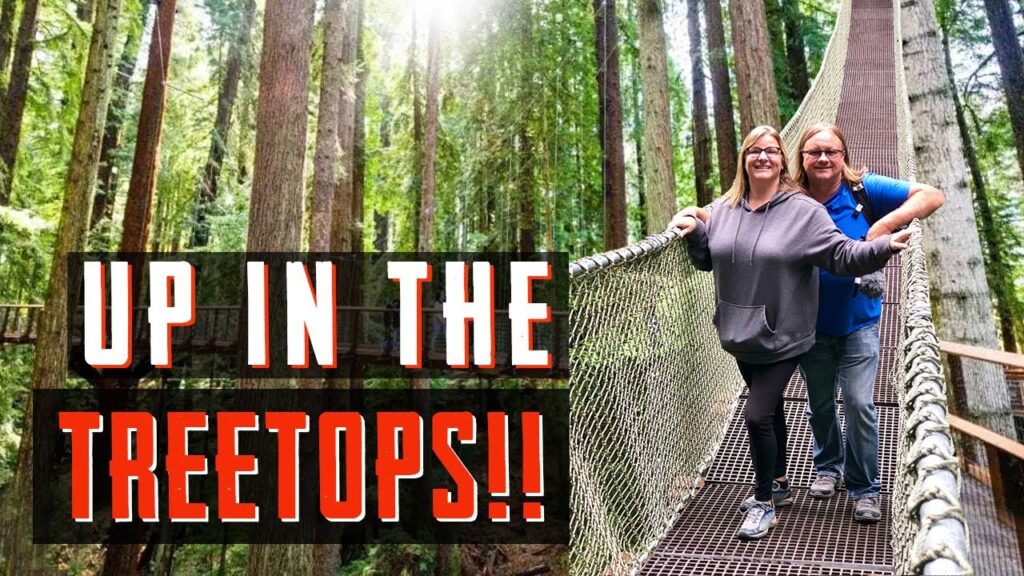 A Redwood National/State Park Must-Do! (Nearby) | Redwood Sky Walk at Sequoia Park Zoo by Go Travel on The Cheap