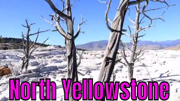 Things To See At Yellowstone National Park