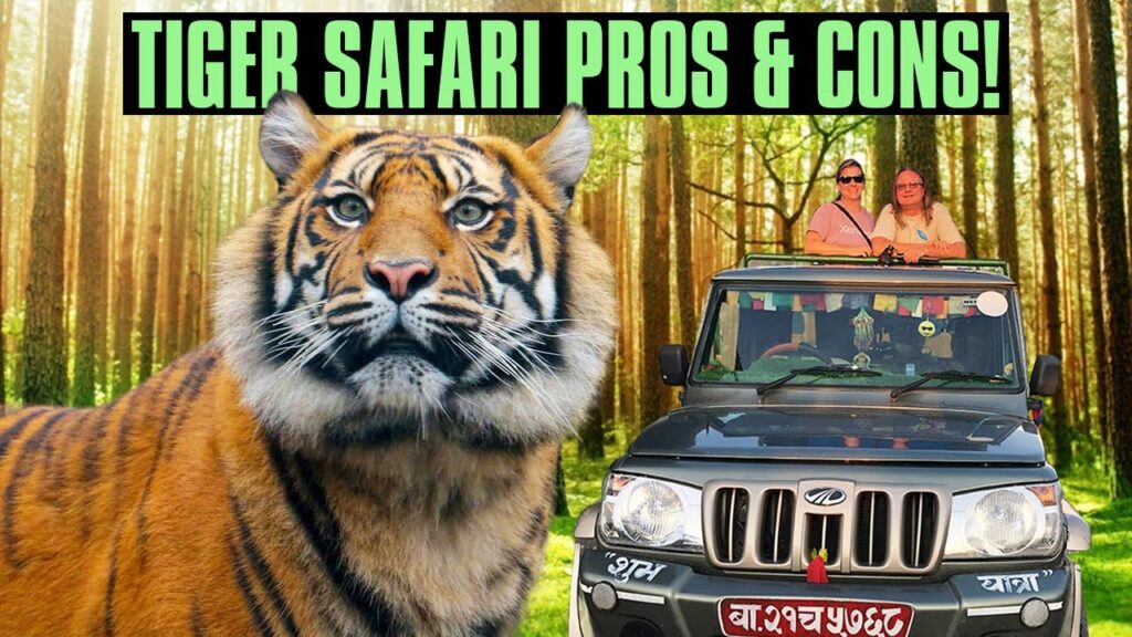 Is the Tiger Safari at Ranthambore National Park worth it?